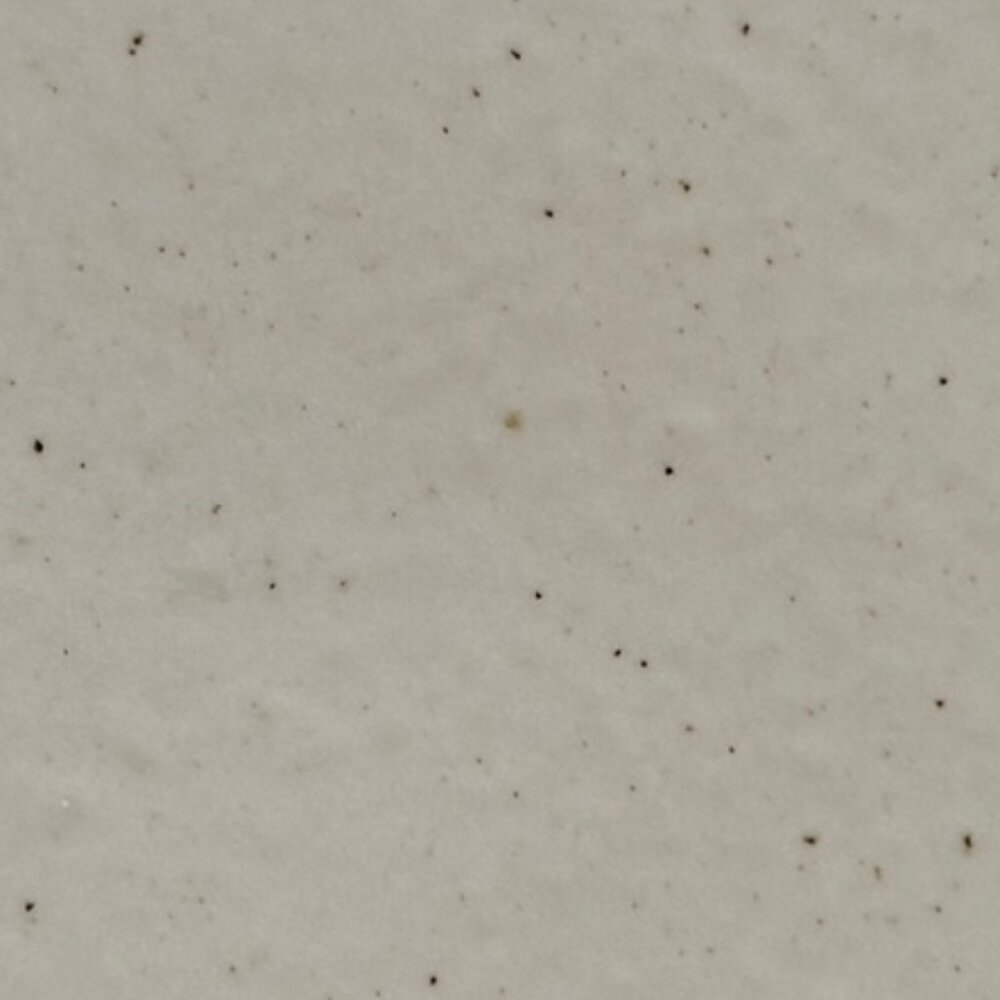 Casafina Ceramic Stoneware 10.5 Dinner Plate Pacifica Collection Vanilla Speckle - Picture 9 of 13